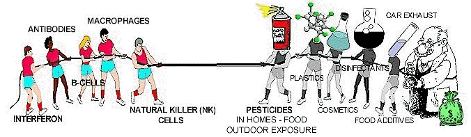 The Immune System Under Assault from Pesticides and Modern Day Chemicals